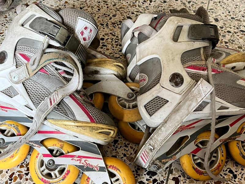 skates 6