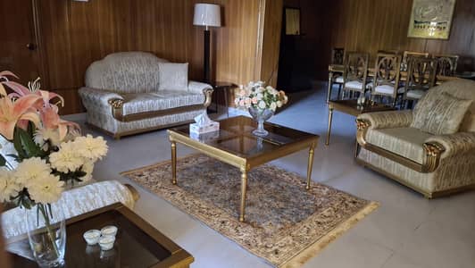 TouchWood Lahore Sofa Set