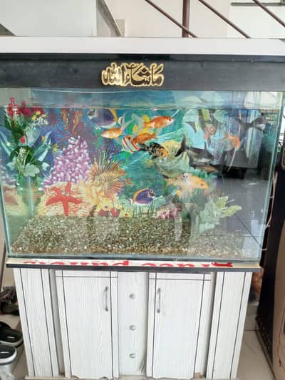 fish aquarium for sale