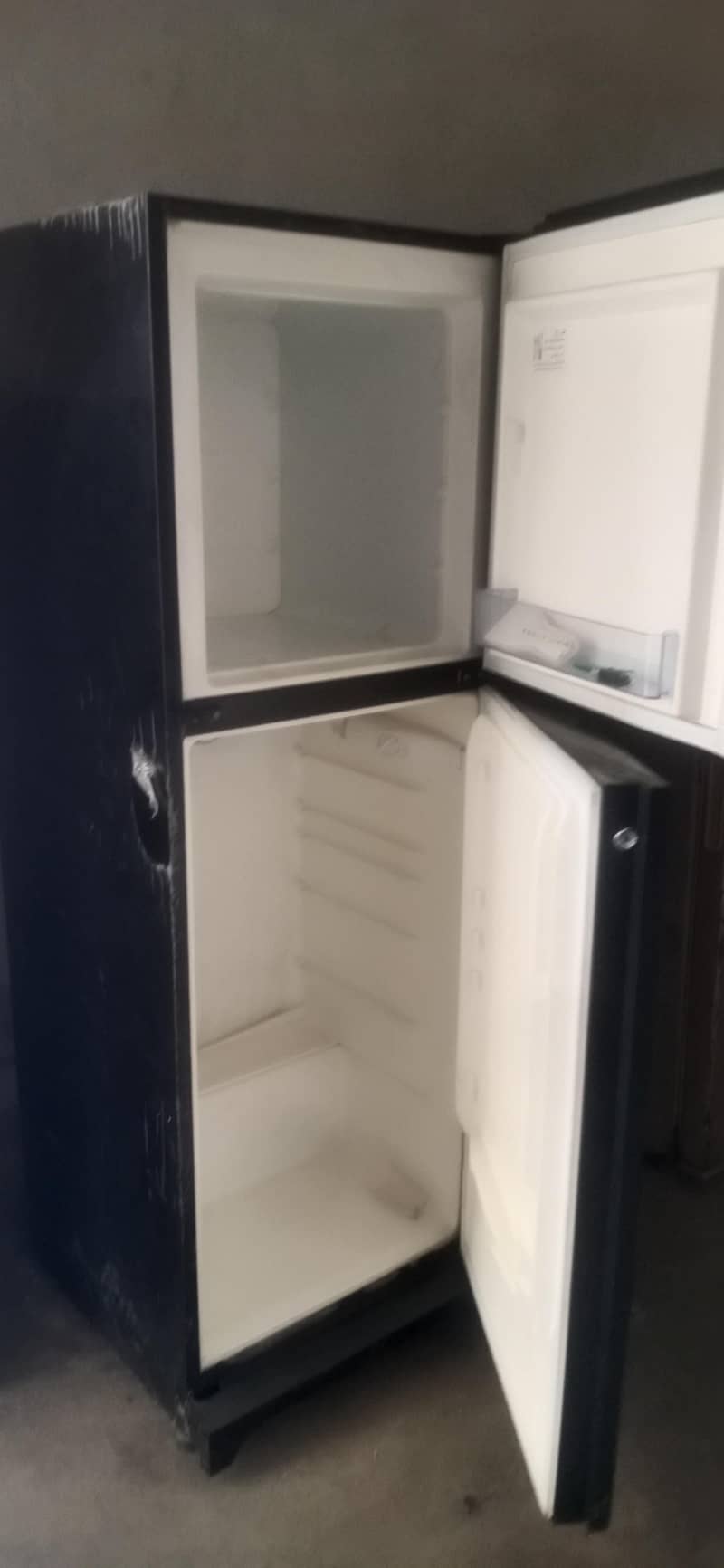 frige 1
