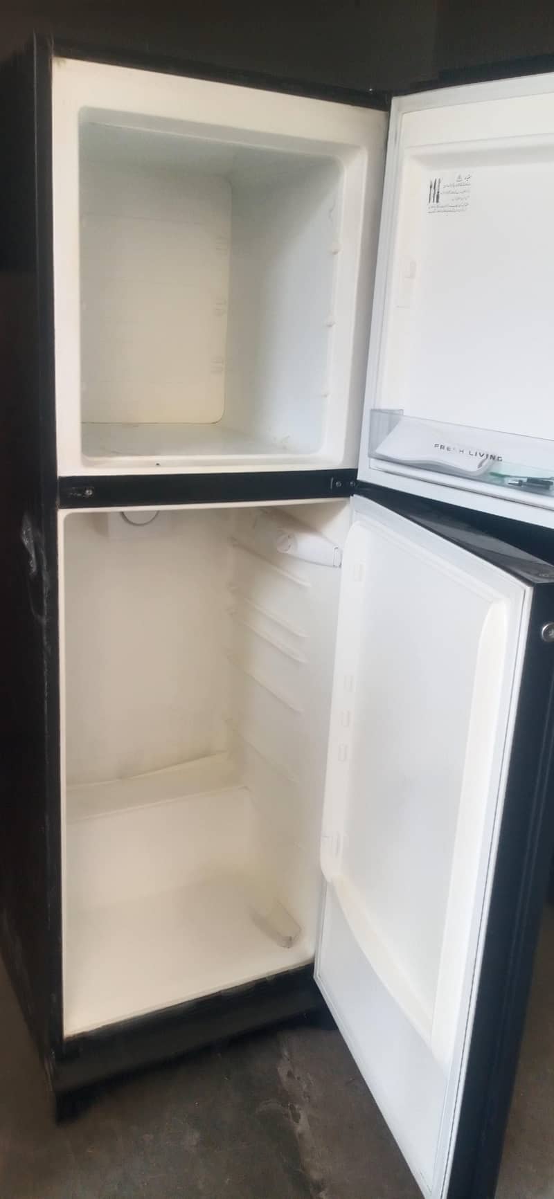 frige 3