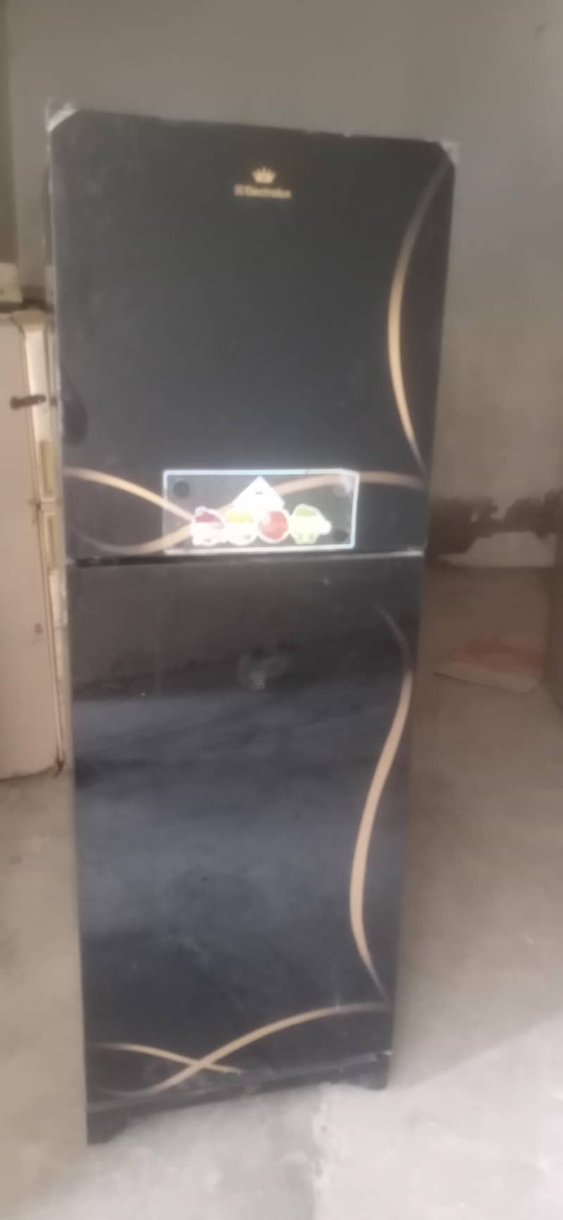 frige 4