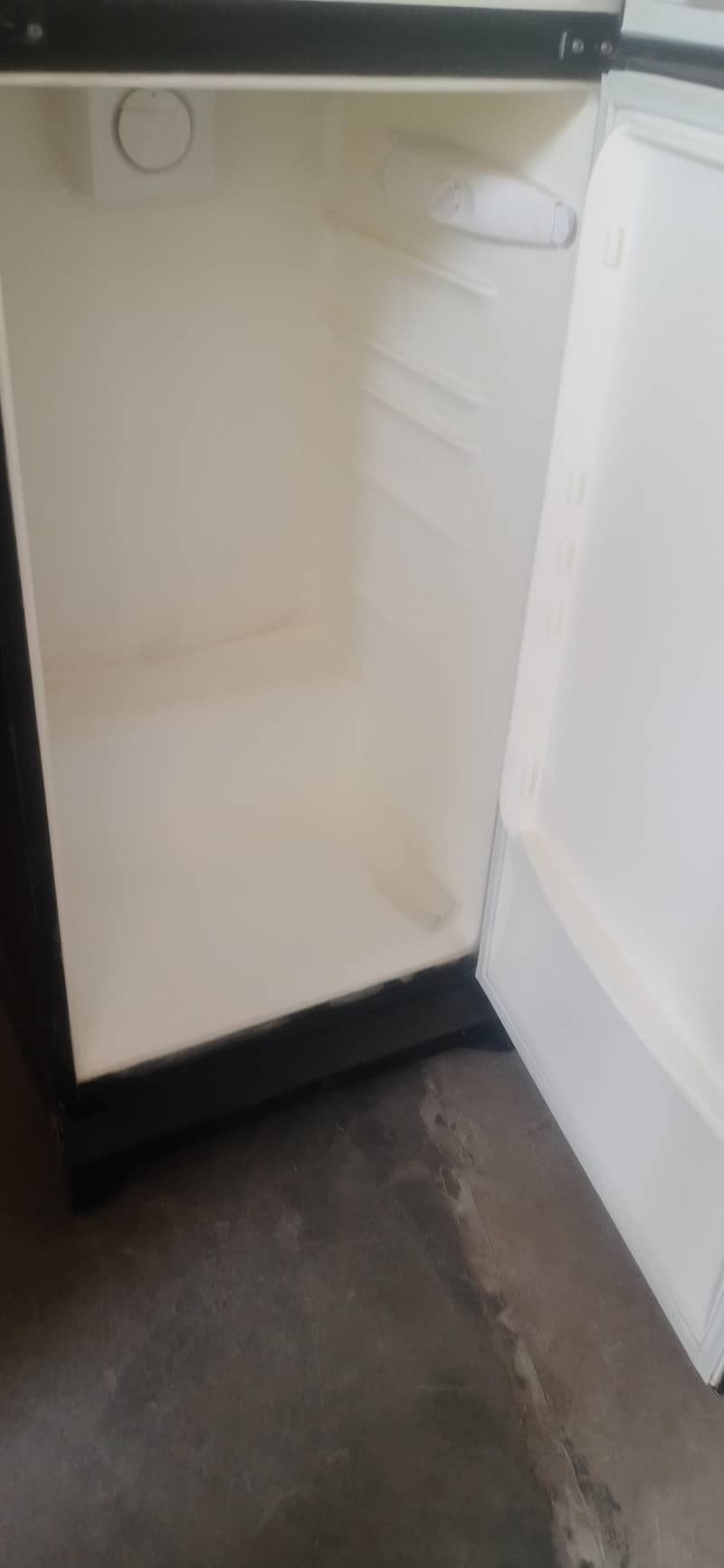 frige 6