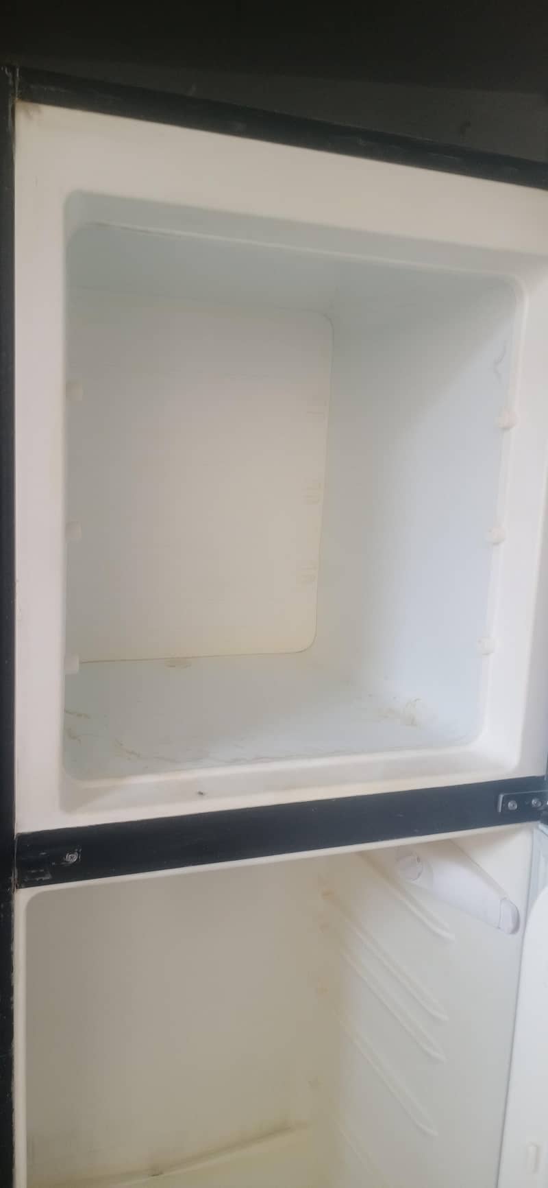 frige 7