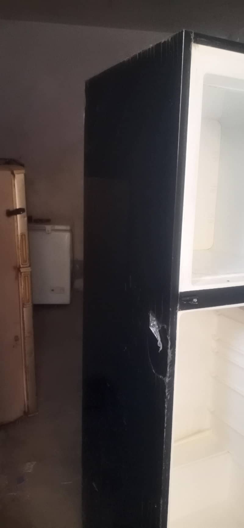 frige 8