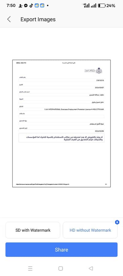 work visa