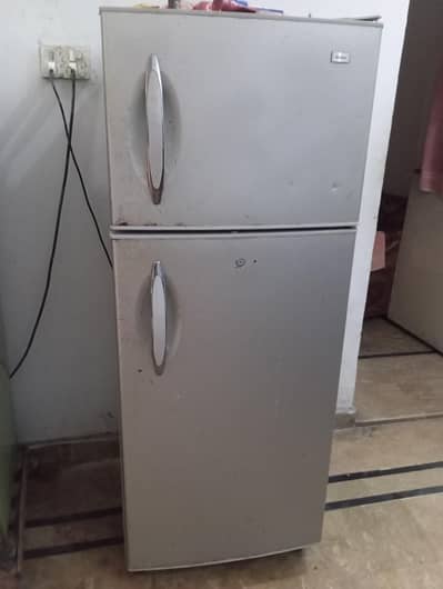Hair Double Door Refrigerator 03009475418