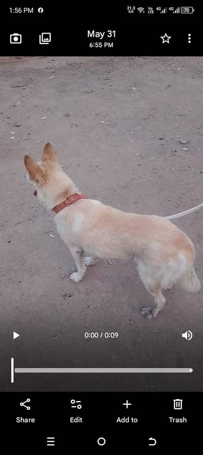 urgent sale contact