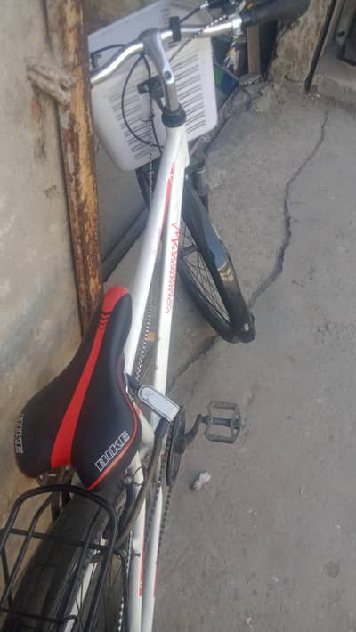 fly pigeon imported cycle