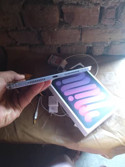 ipad mini 6
