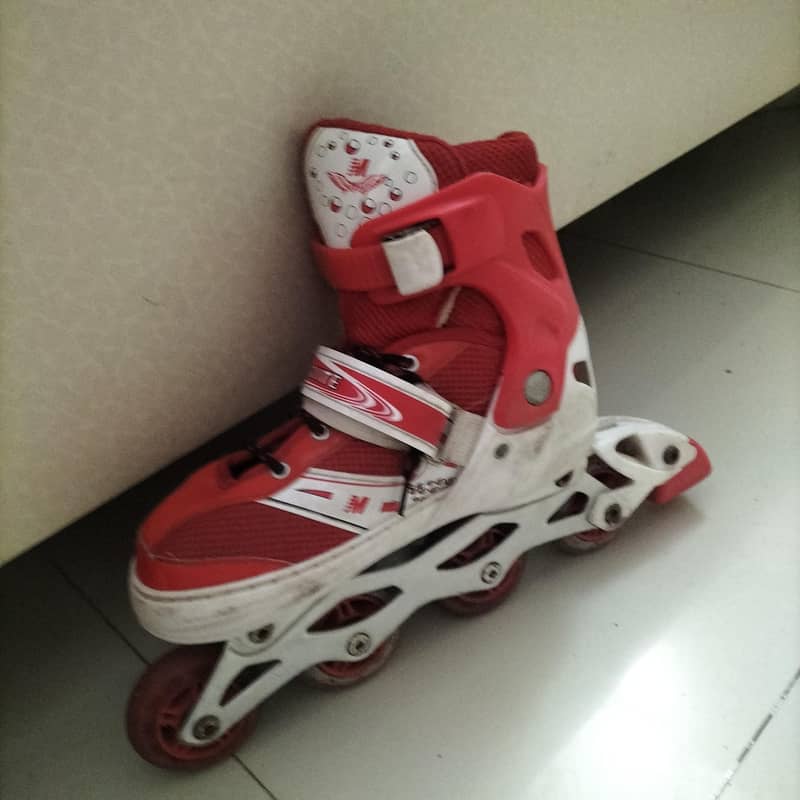 skates  1