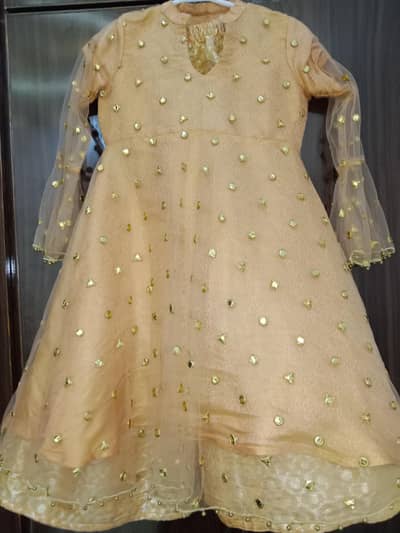 Net shirt with jamawar ghrara