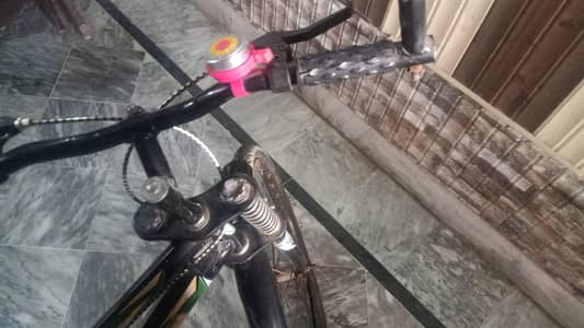 Cycle in *Bravo* condition