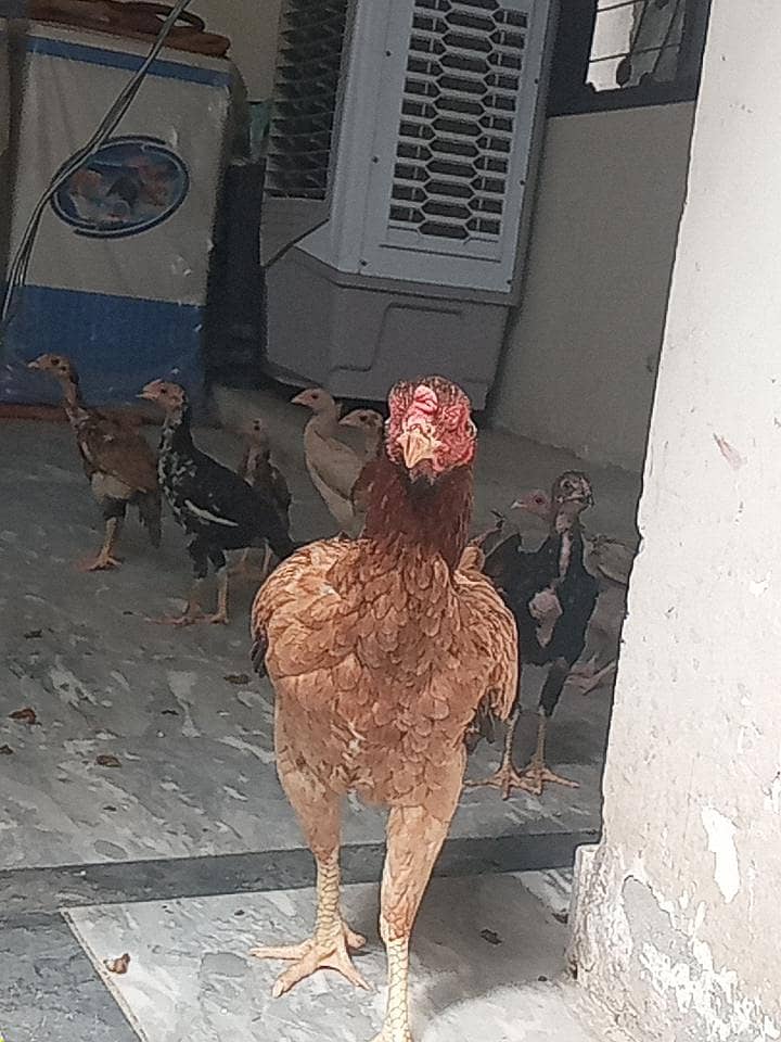 Aaaaaaa 4