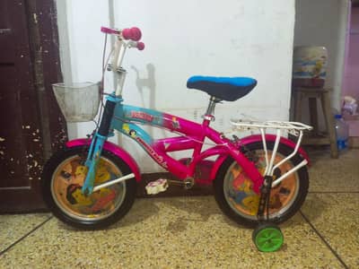 Baby barbie cycle (0335/39/64/183) (Cycle size 16)