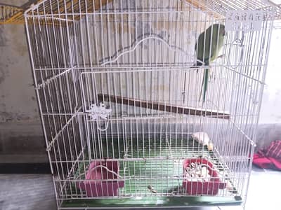 cage be sath sela kar ra hoo