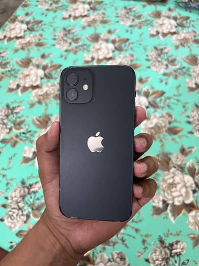 iPhone 12