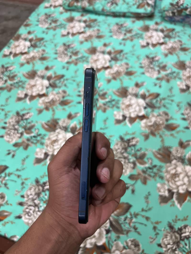 iPhone 12 1