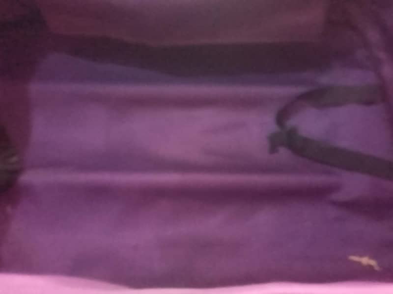 suite case 4