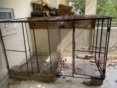 Bird cage