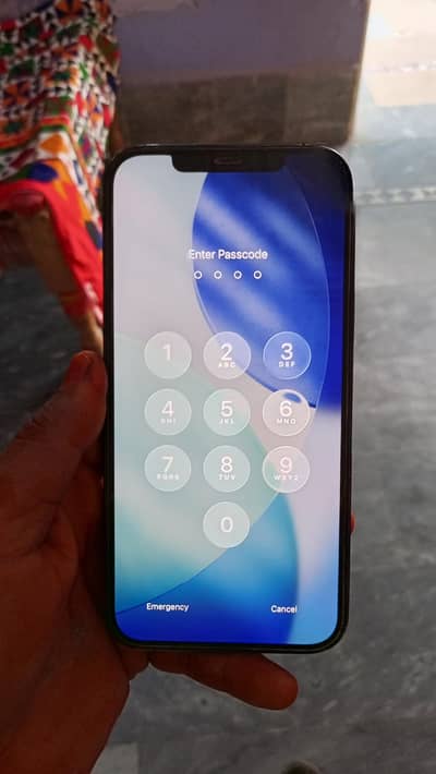 Apple iPhone 13 Pro Max
