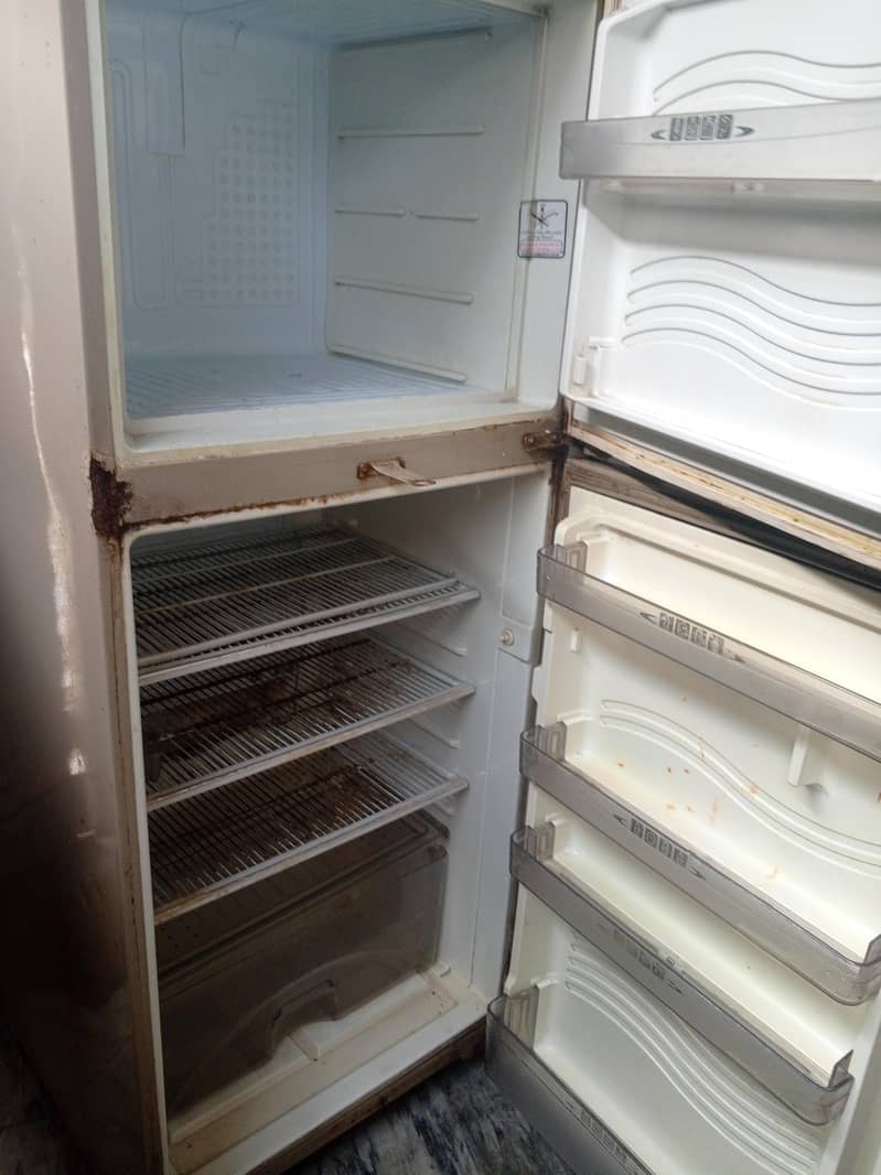fridge 2