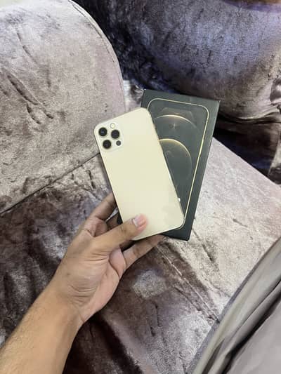 IPhone 12 pro dual PTA Approved
