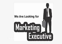 MARKETING EXCUTIVE