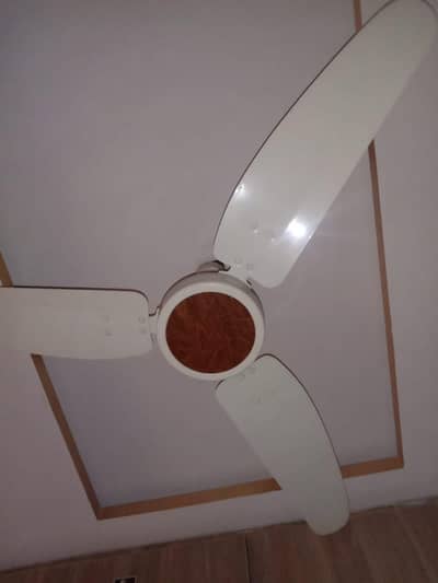 seeling fan for sale