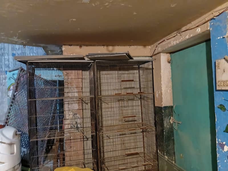 Cages 0