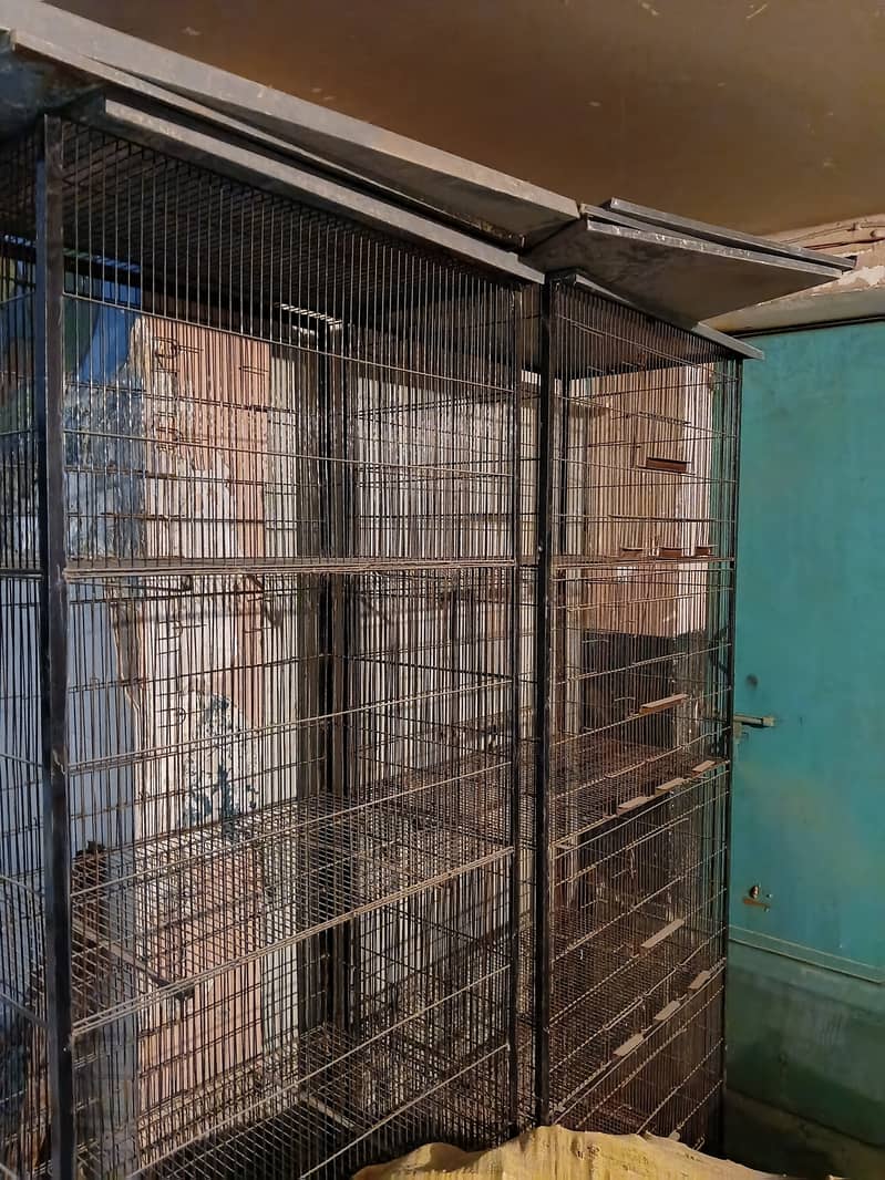 Cages 2