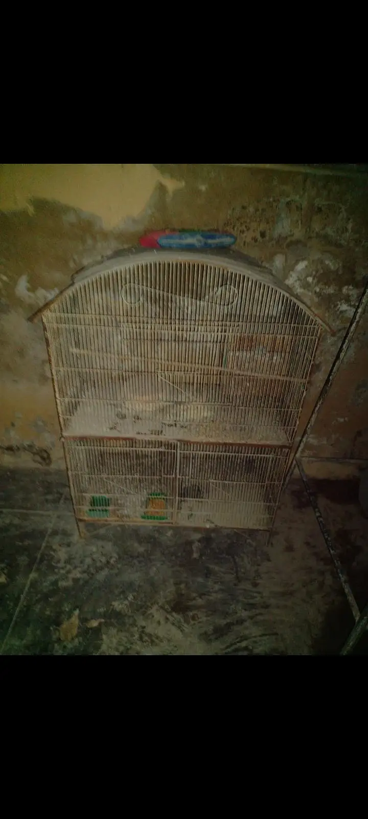 Cages For Sell. — photo 5