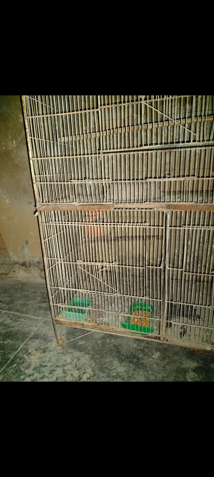 Cages For Sell. — photo 6