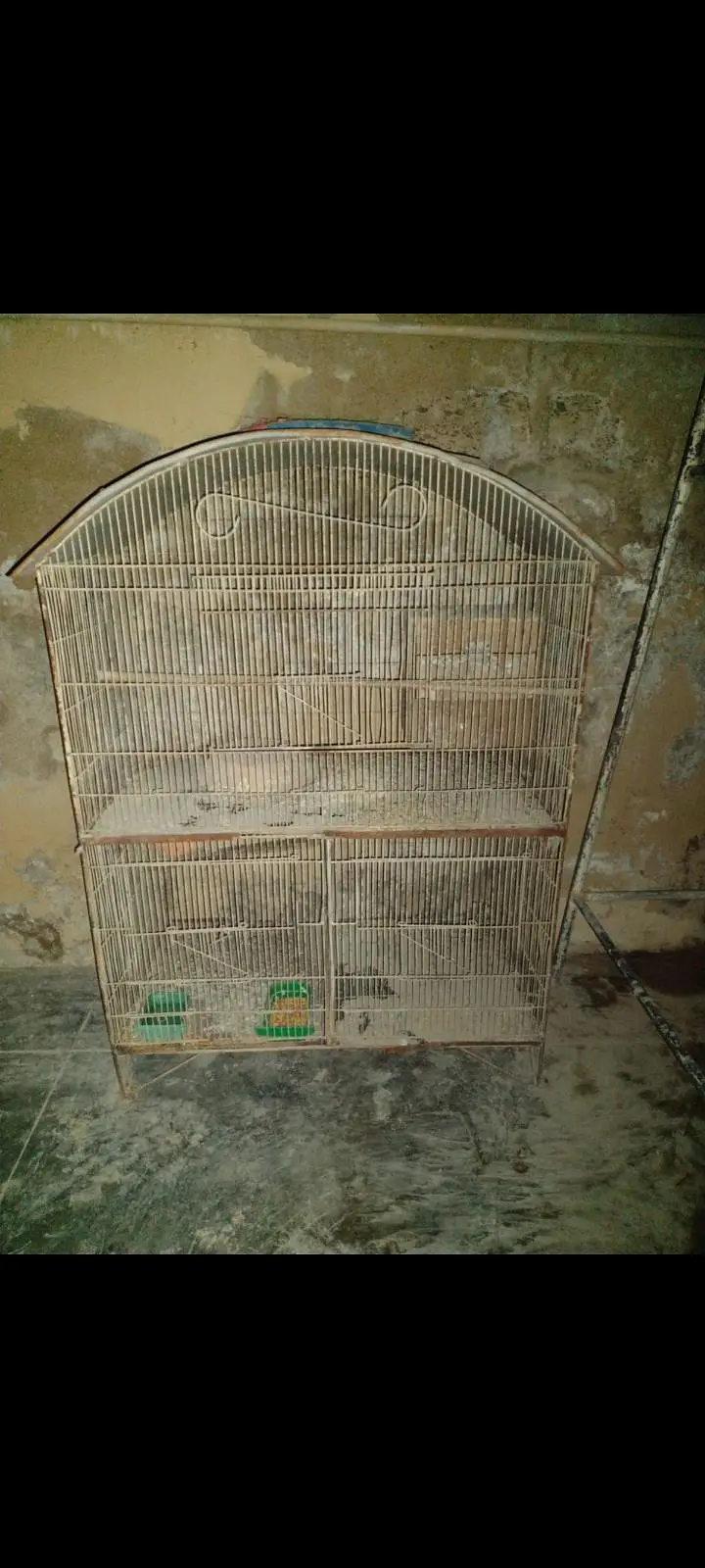 Cages For Sell. — photo 7