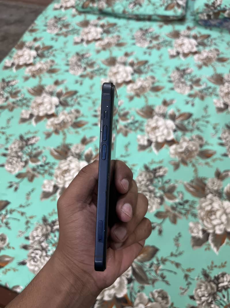 iPhone 12 1