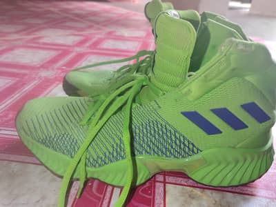 original Adidas branded shoes