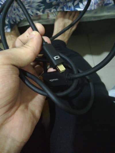 display port