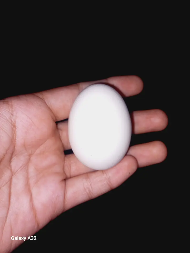 Hens egg ferile with home special feed home bread egg Big — photo 2