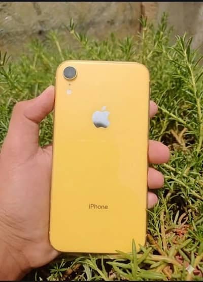 iPhone XR All ok (( MDM URGENT SALE 10/10 ))