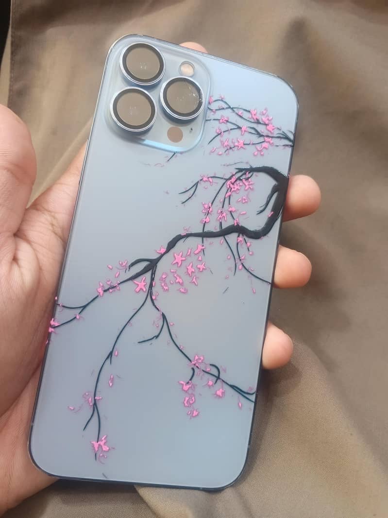 Apple iPhone 13 Pro Max 1