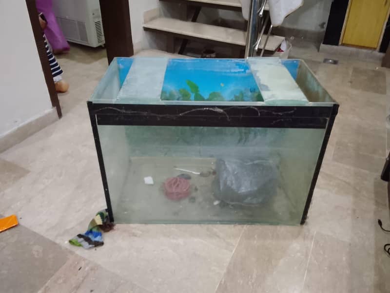 aquarium 0