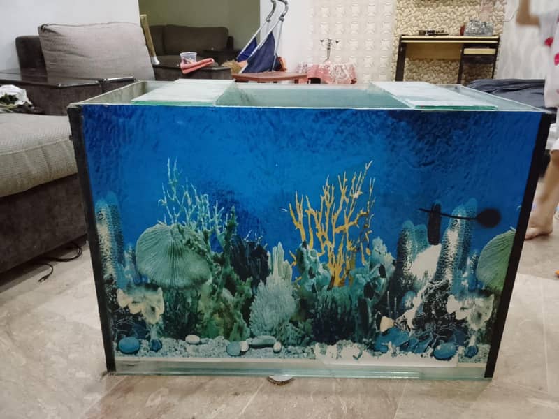 aquarium 1