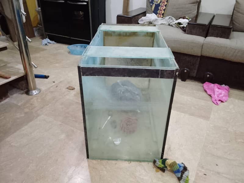 aquarium 2