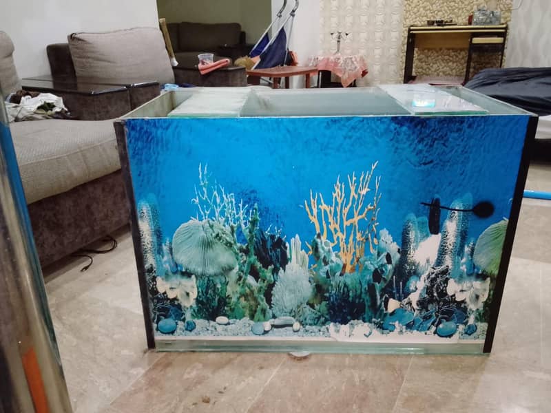 aquarium 3