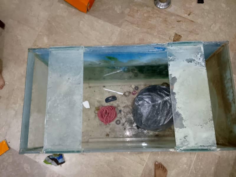 aquarium 5