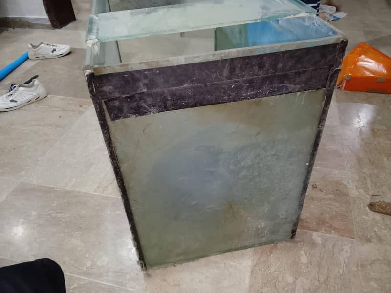 aquarium 6