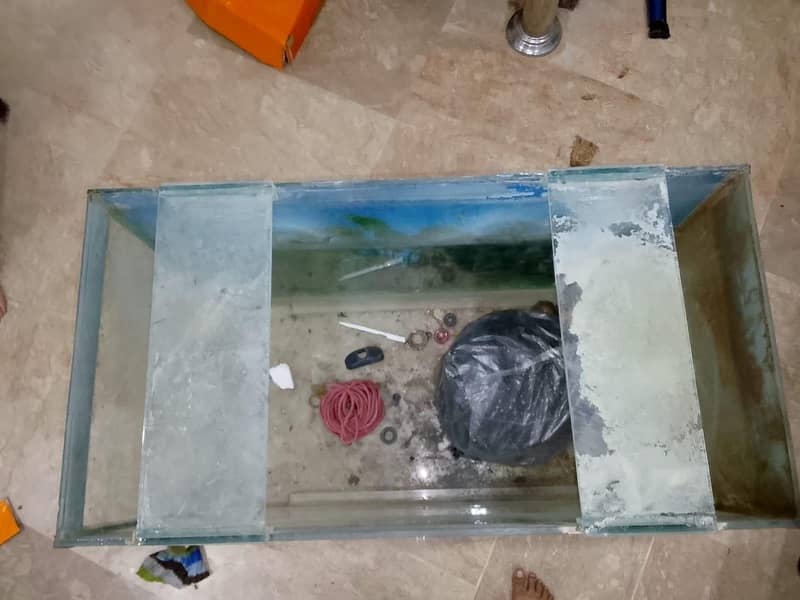 aquarium 7