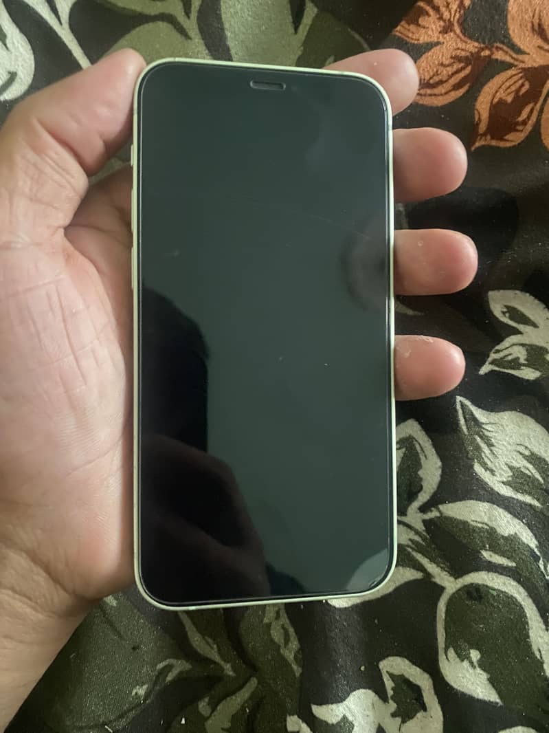 Apple iPhone 12 mini 1