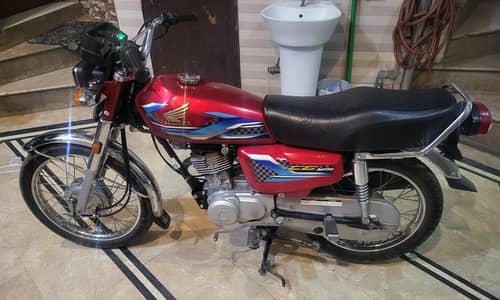 new jasi baick 10 by 10
