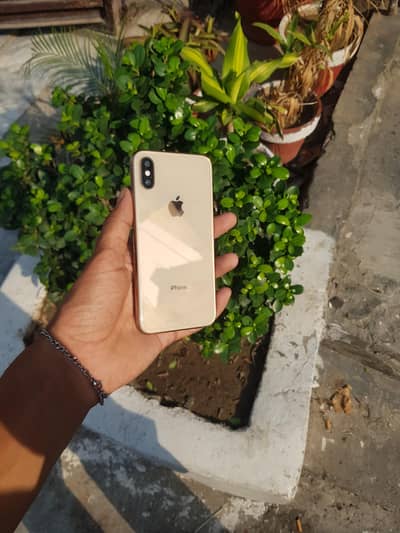 I phone xs